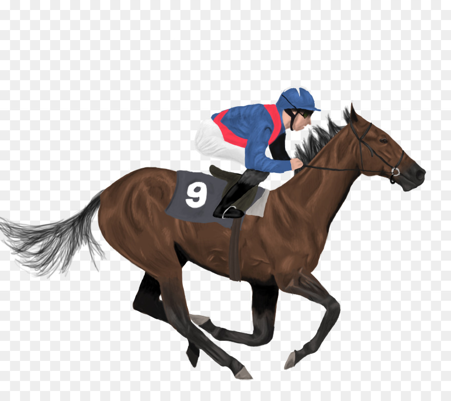 Icelandic horse Jockey Horse racing - runner png download - 900*800 - Free Transparent Icelandic Horse png Download.