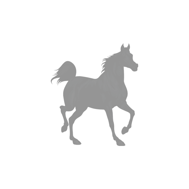 Shire horse Black Royalty-free Clip art - Horse Silhouette png download ...