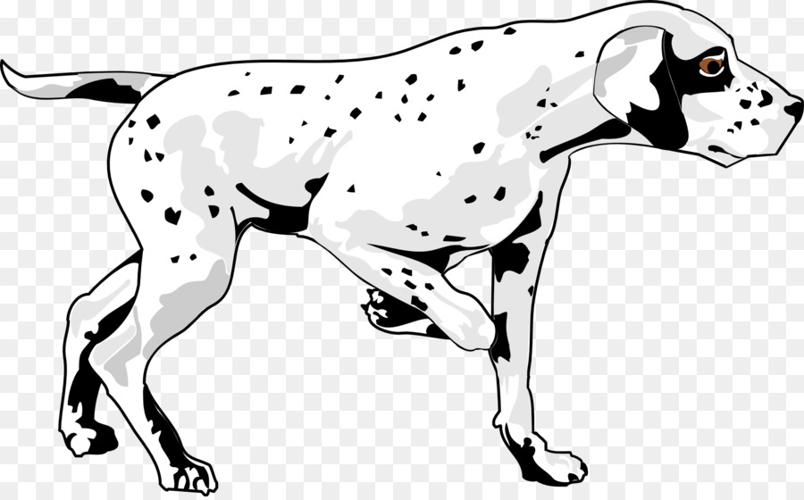 Basset Hound Dalmatian dog Puppy Pet - animal silhouettes png download - 1920*1186 - Free Transparent Basset Hound png Download.