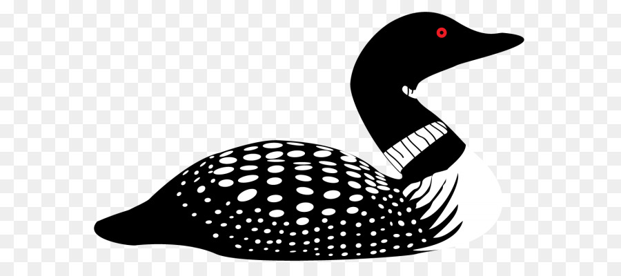 Common loon Drawing Silhouette Clip art - Silhouette png download - 640*394 - Free Transparent Common Loon png Download.