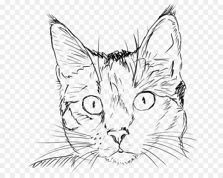 Draw Cats Tiger Drawing Clip art - Cat png download - 728*720 - Free Transparent Cat png Download.
