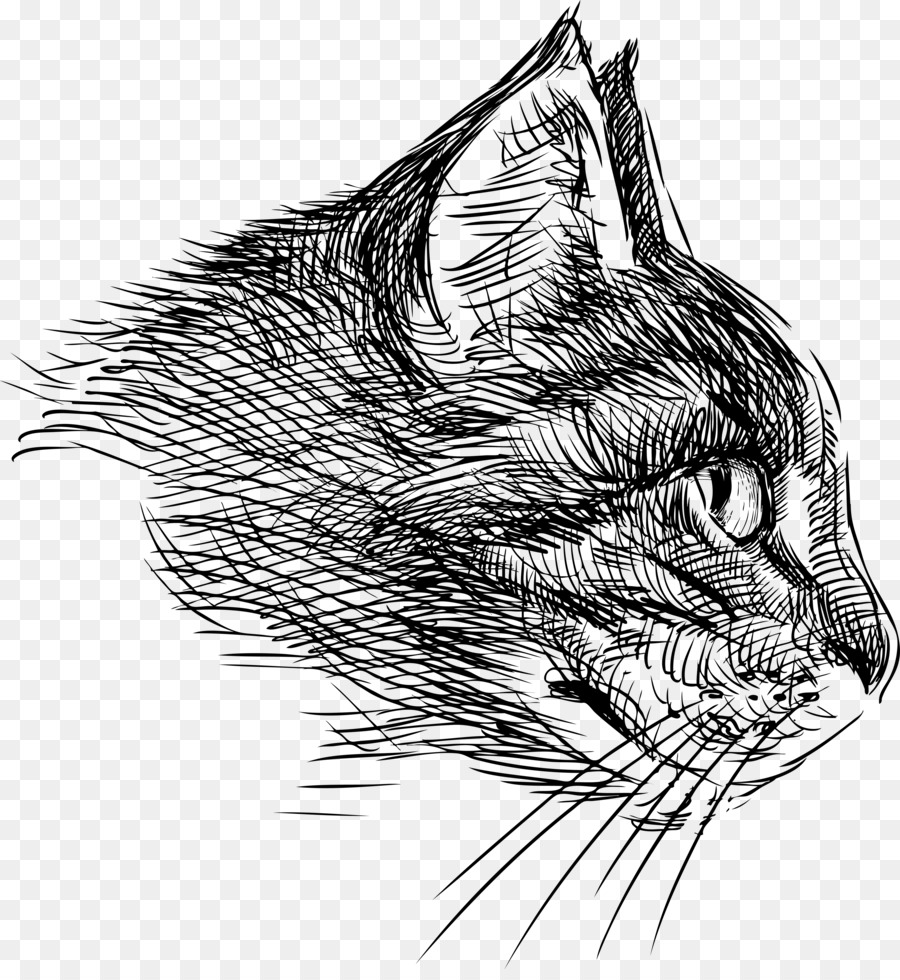 Cat Drawing - cat head png download - 3714*4000 - Free Transparent Cat png Download.