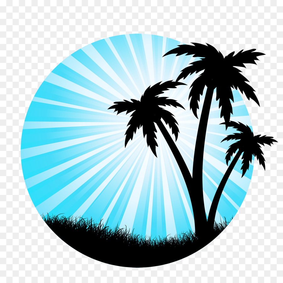 Arecaceae Silhouette Tree Drawing - Silhouette png download - 1417*1417 - Free Transparent Arecaceae png Download.