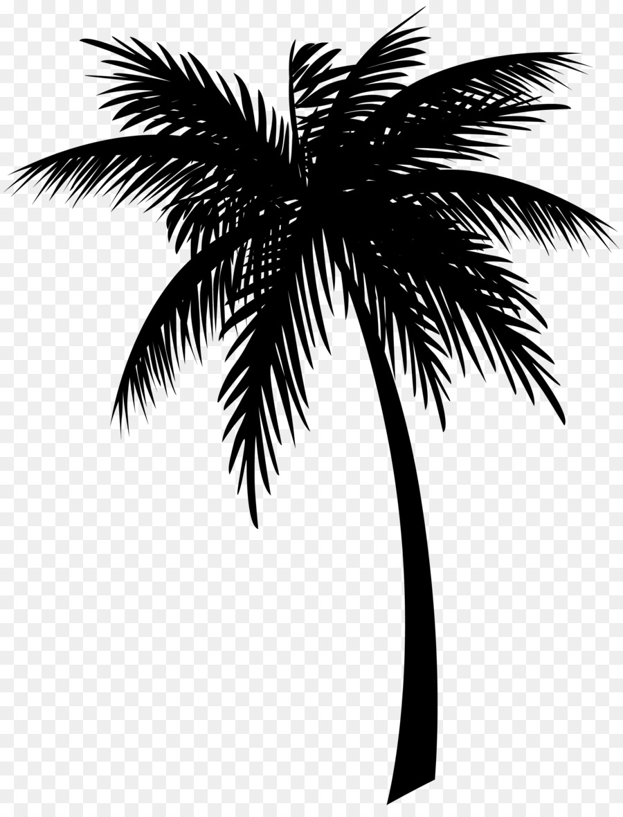 Cartoon Palm Tree Drawing - How To Draw A Cartoon Palm Tree Step By Step!