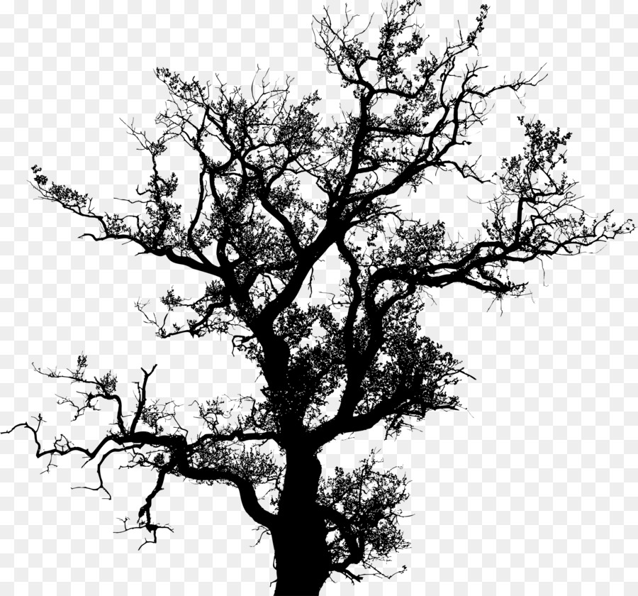 tree-black-and-white-drawing-plum-draw-png-download-1600-1571