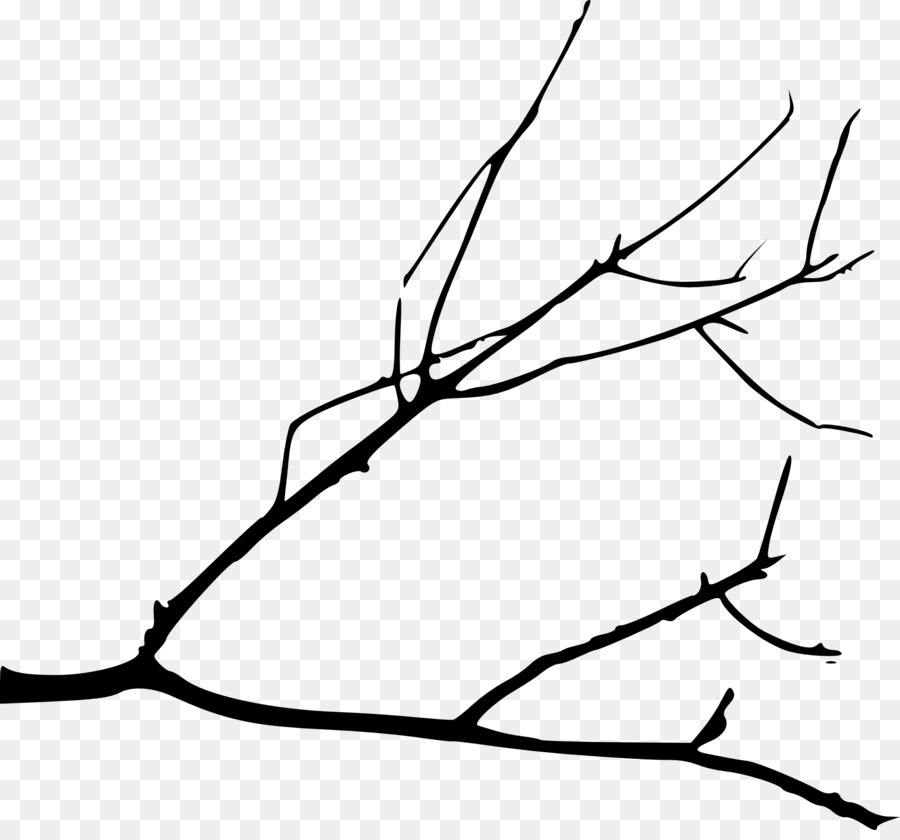 Branch Tree Silhouette Drawing Clip art - draw png download - 2000*1844 - Free Transparent Branch png Download.