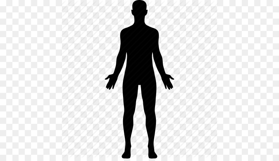 Human body Computer Icons Anatomy Homo sapiens - Vector Human Icon png download - 512*512 - Free Transparent  png Download.
