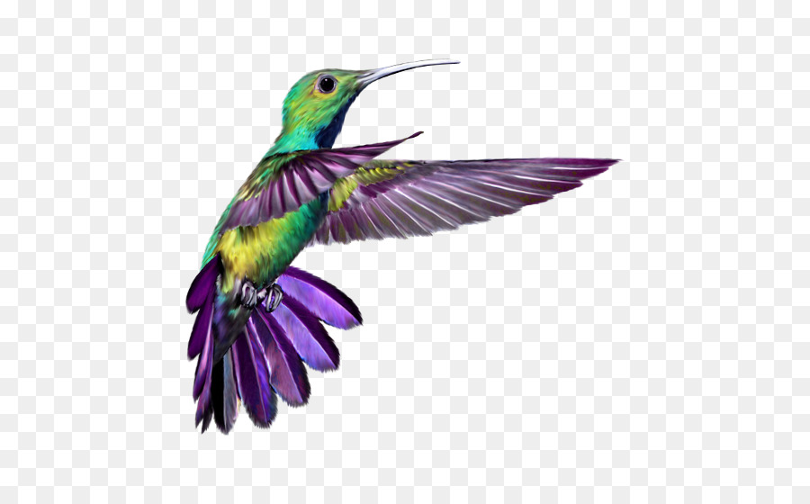 Hummingbird Wings 2 Tattoo T-shirt - Purple feathers and birds png download - 550*550 - Free Transparent Hummingbird png Download.