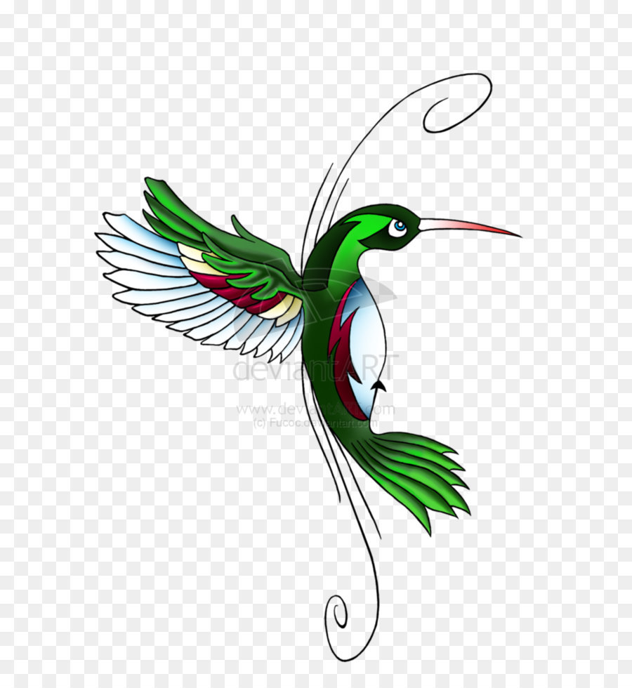 Hummingbird Feather Wing Beak Illustration - Hummingbird Tattoos Download Png png download - 734*1089 - Free Transparent Hummingbird png Download.