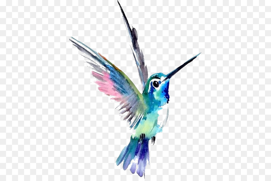 Watercolor painting Art Hummingbird Drawing - hummingbird tattoo png watercolor png download - 439*593 - Free Transparent Watercolor Painting png Download.