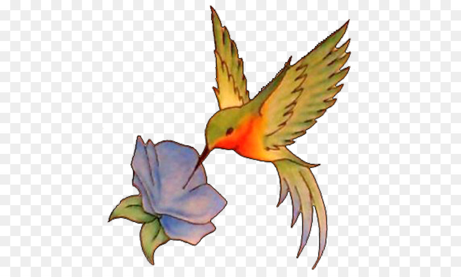 Hummingbird Tattoo Flash - Hummingbird png download - 500*535 - Free Transparent Hummingbird png Download.