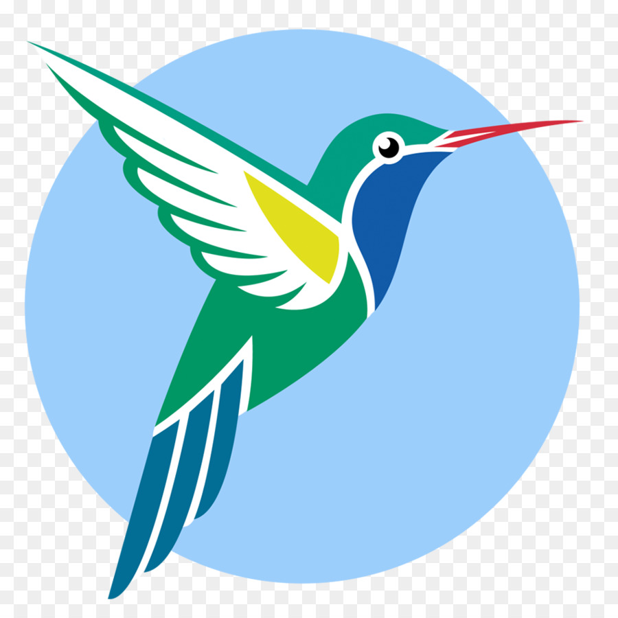 Broad-billed Hummingbird Vector graphics Ruby-throated hummingbird - Bird png download - 949*949 - Free Transparent Hummingbird png Download.