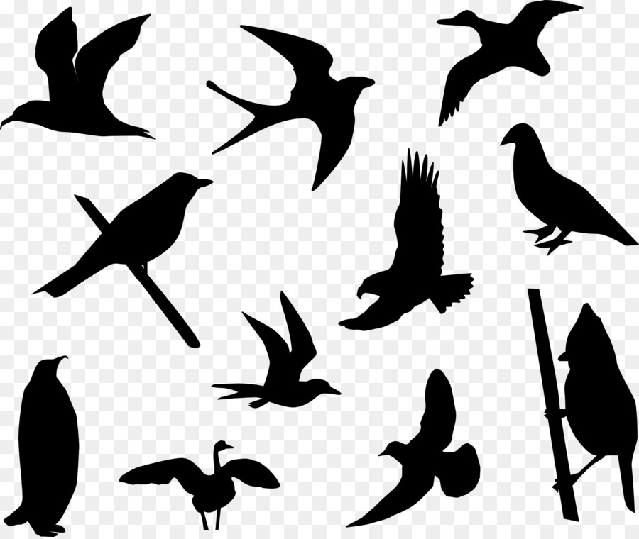 Bird Clip art Vector graphics Openclipart Portable Network Graphics - dove vector png download - 1920*1615 - Free Transparent Bird png Download.