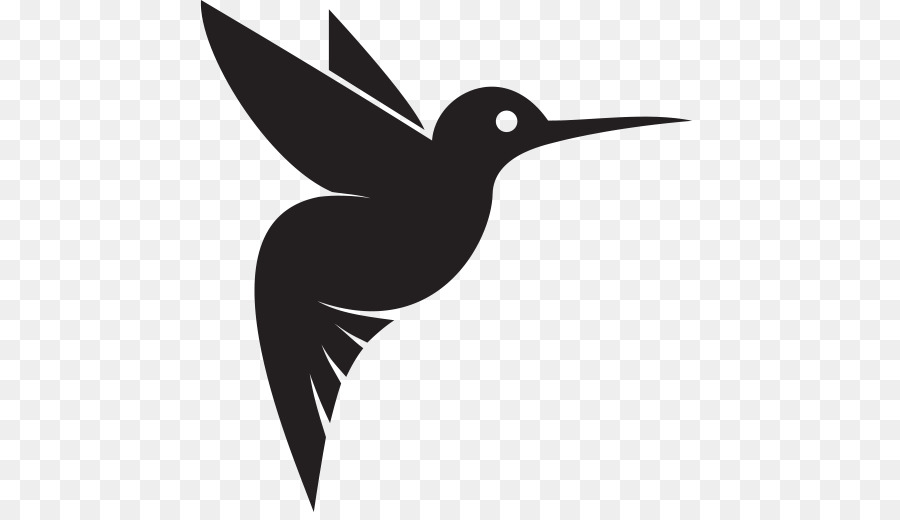 Hummingbird Clip art Color Vector Image - Bird png download - 512*512 - Free Transparent Hummingbird png Download.