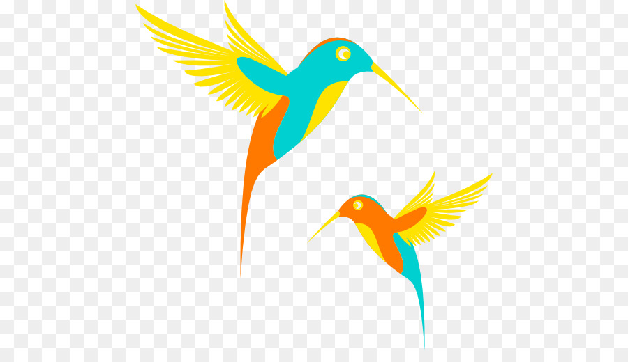 Hummingbird Clip art - Design. Vector png download - 512*504 - Free Transparent Bird png Download.