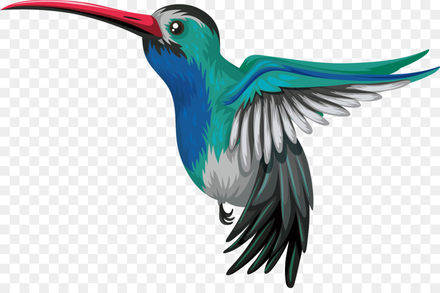 Hummingbird Drawing Illustration - Vector Lovely Blue Parrot png download - 2089*1369 - Free Transparent Hummingbird png Download.