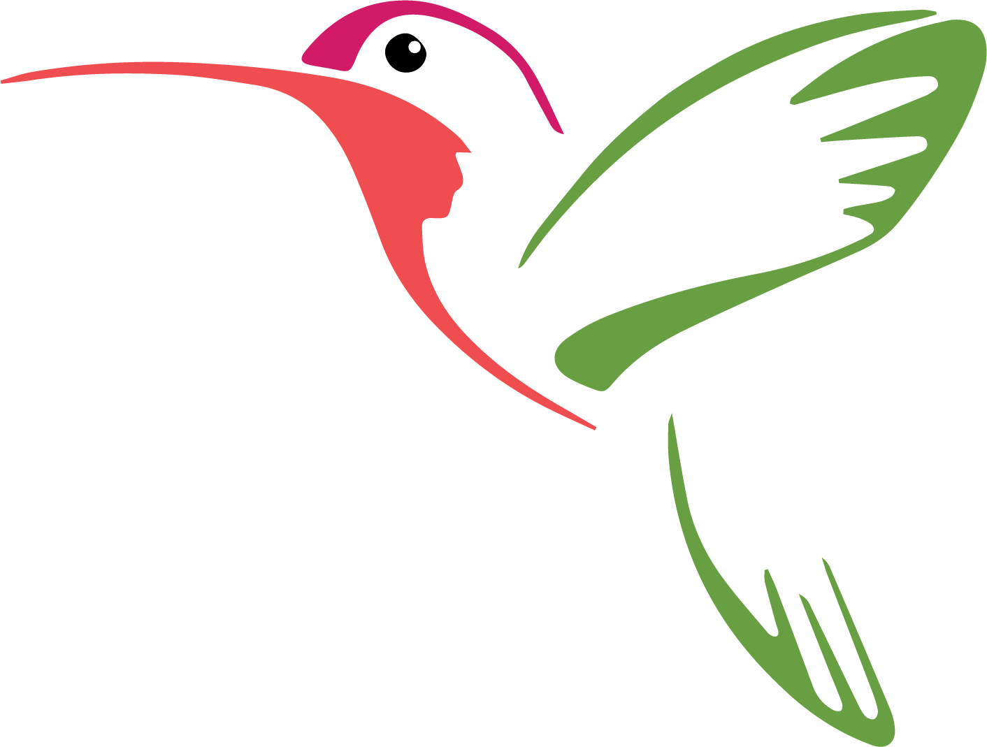 Логотип птица. Колибри рисунок. Векторные изображения птиц. Эмблемы с изображением птиц.