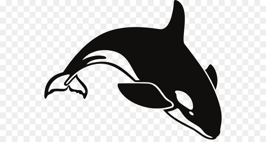 Killer whale Humpback whale Clip art - Cartoon Whale Png png download - 600*472 - Free Transparent Killer Whale png Download.