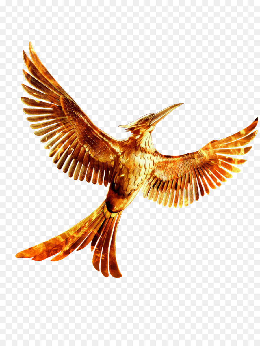 Mockingjay The Hunger Games YouTube Clip art - The Hunger Games PNG HD png download - 1024*1365 - Free Transparent Mockingjay png Download.