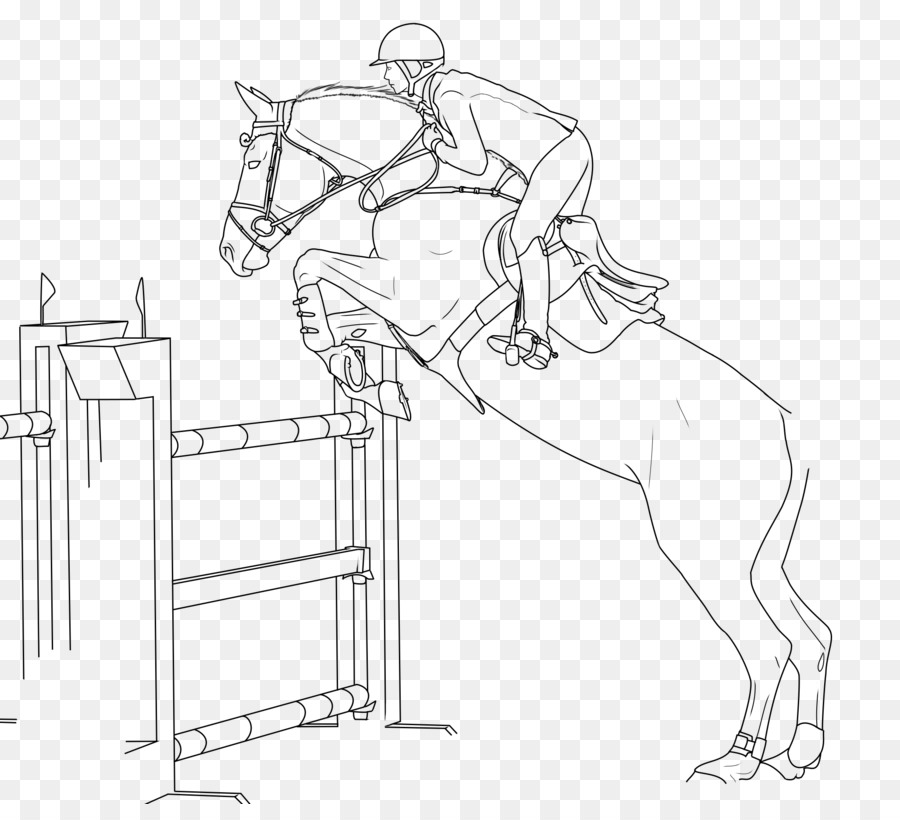 Horse Bridle Show jumping Equestrian - horse png download - 900*804 - Free Transparent Horse png Download.