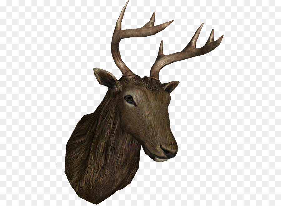 Elk Reindeer Antler Trophy hunting - Reindeer png download - 535*657 - Free Transparent Elk png Download.