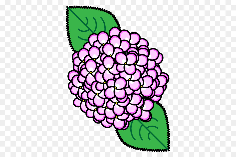 Flower French hydrangea Monochrome painting - pink hydrangea png download - 600*600 - Free Transparent Flower png Download.