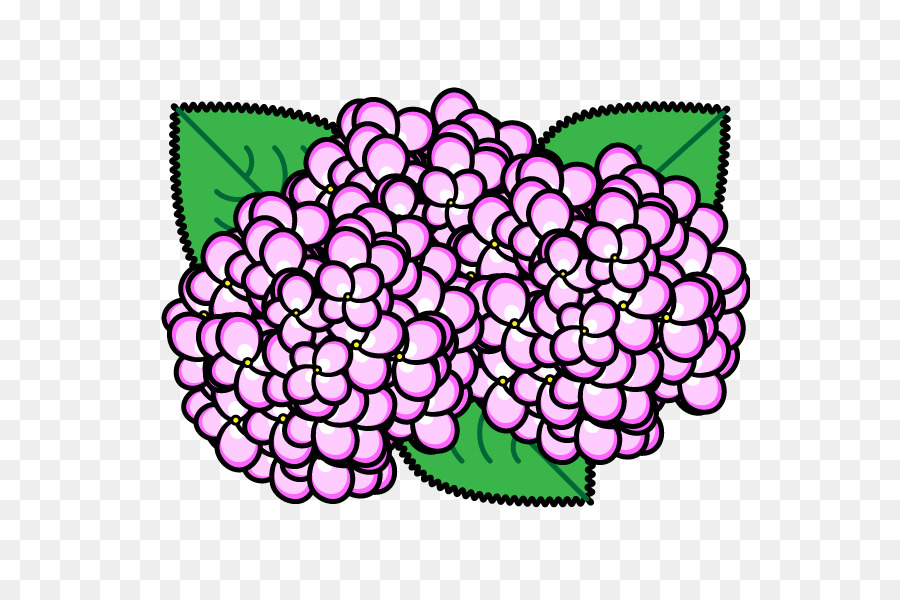 East Asian rainy season Monochrome painting - pink hydrangea png download - 600*600 - Free Transparent East Asian Rainy Season png Download.