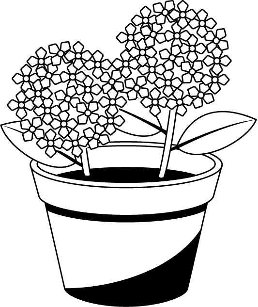 Flowerpot Black and white French hydrangea Clip art - flower png ...