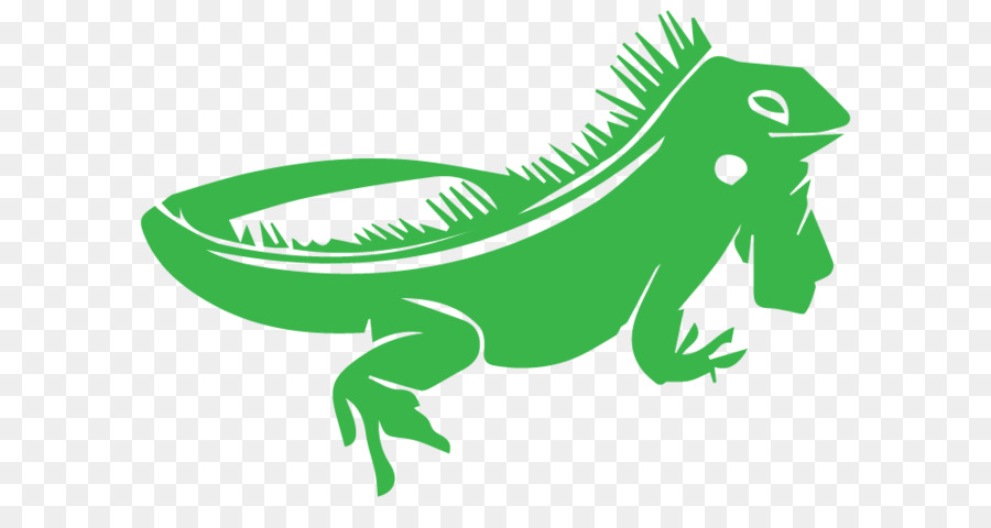 Lizard Chameleons Reptile Green iguana Clip art - Green Iguana png download - 1000*512 - Free Transparent Lizard png Download.
