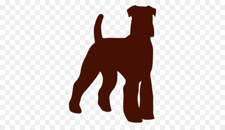 Dog breed Puppy Irish Terrier Companion dog Miniature Schnauzer - puppy png download - 512*512 - Free Transparent Dog Breed png Download.