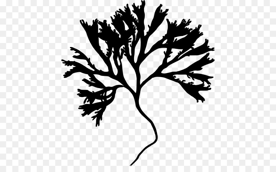 Silhouette Irish Moss Twig Clip art - Silhouette png download - 500*541 - Free Transparent Silhouette png Download.