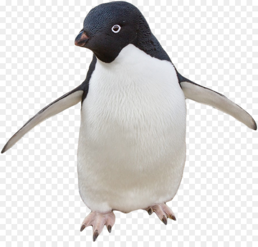 It's Time To Stop Gif Transparent