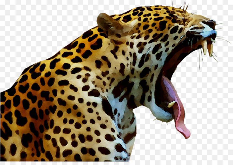 Jaguar Cheetah Leopard Cat Felidae -  png download - 1160*808 - Free Transparent Jaguar png Download.