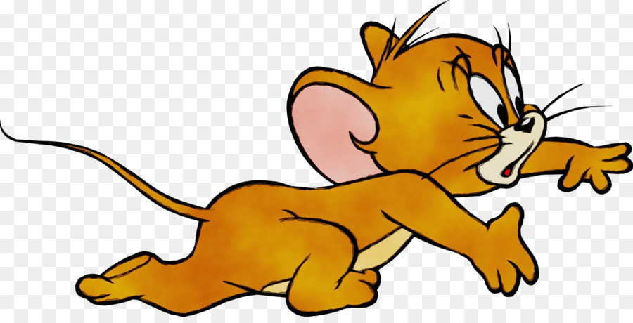 Tom Cat Jerry Mouse Tom and Jerry Portable Network Graphics Nibbles -  png download - 1600*802 - Free Transparent Tom Cat png Download.