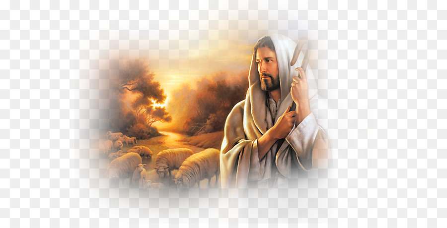 Sheep Psalms Gospel of John Doctrine and Covenants Shepherd - Jesus Clipart PNG png download - 602*451 - Free Transparent  png Download.