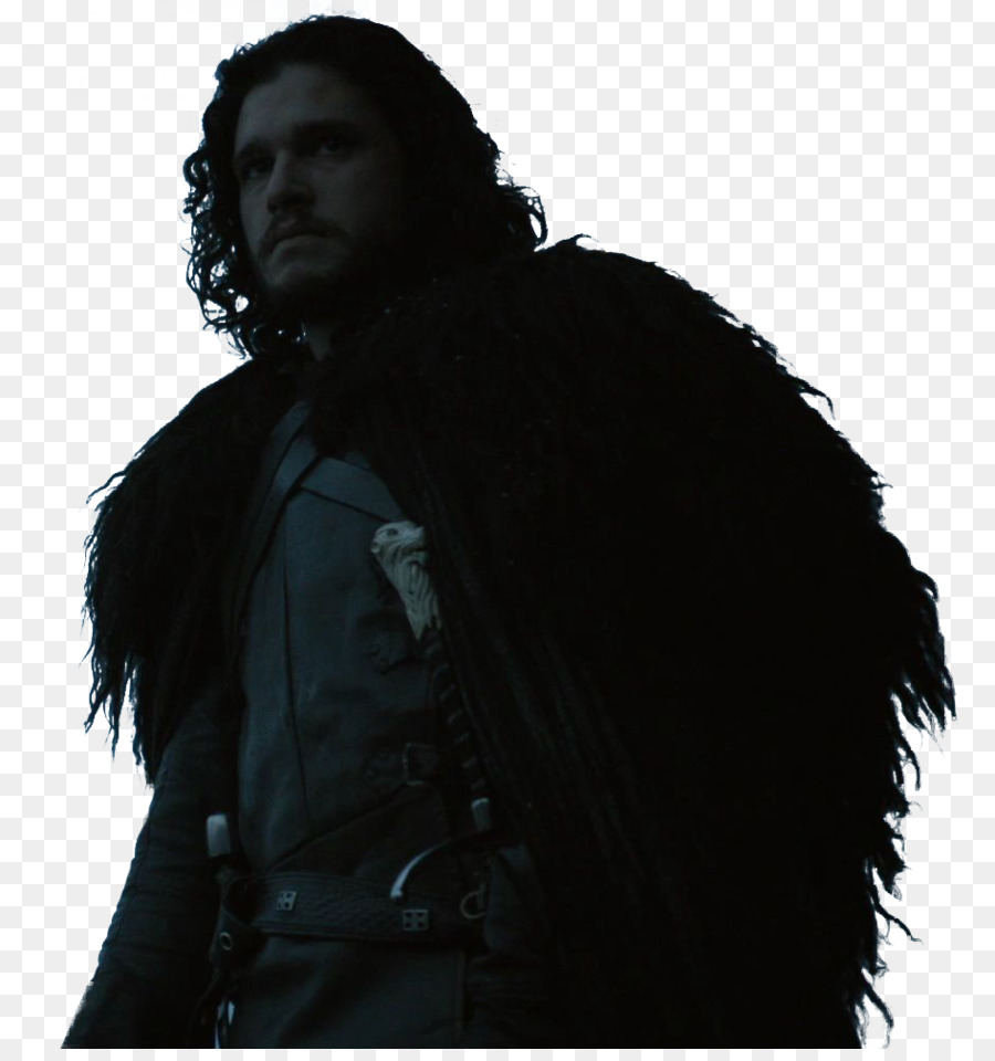 Jon Snow Lyanna Stark Rhaegar Targaryen Eddard Stark - others png download - 946*998 - Free Transparent Jon Snow png Download.