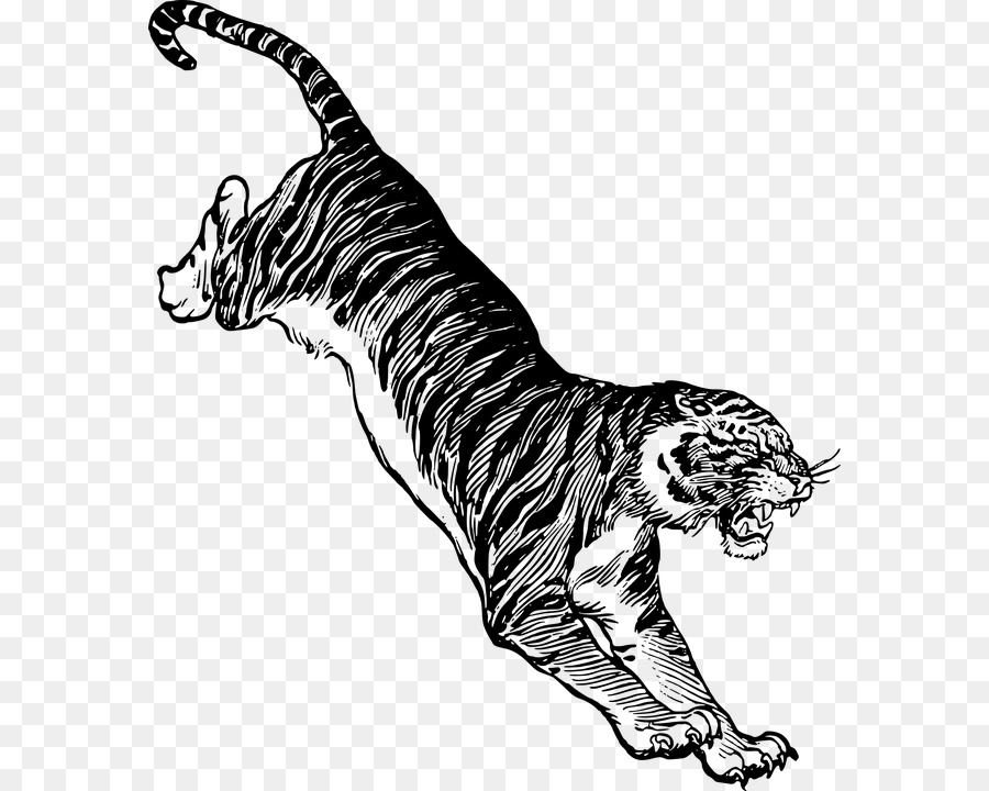 Felidae Cat Drawing Jumping Clip art - Cat png download - 630*720 - Free Transparent Felidae png Download.