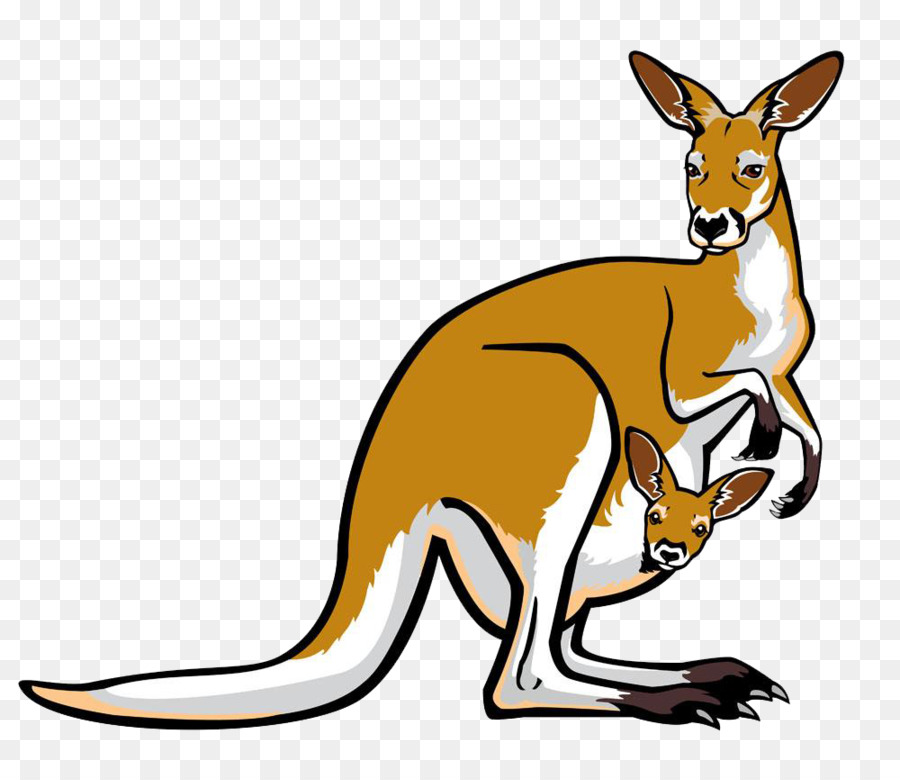 Red kangaroo Pouch Illustration - Cartoon kangaroo png download - 1000*855 - Free Transparent Red Kangaroo png Download.