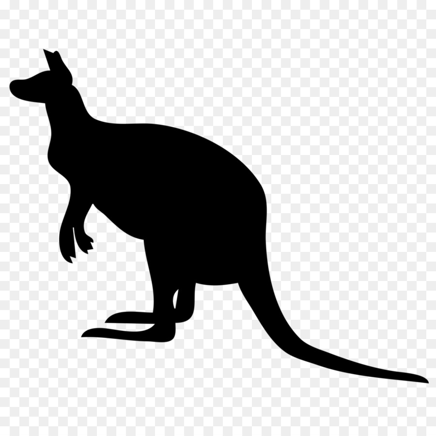 Kangaroo Clip art - kangaroo png download - 958*958 - Free Transparent Kangaroo png Download.