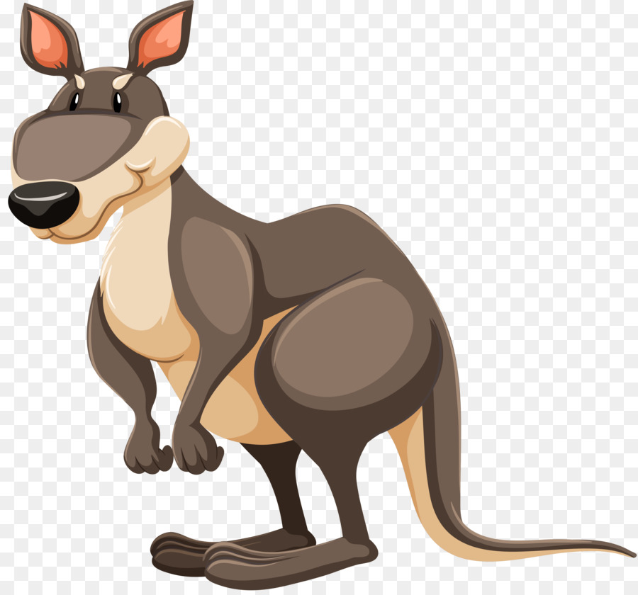 Red kangaroo Clip art - kangaroo png download - 4301*4000 - Free Transparent Red Kangaroo png Download.