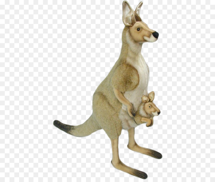 Kangaroo - kangaroo png download - 465*754 - Free Transparent Kangaroo png Download.