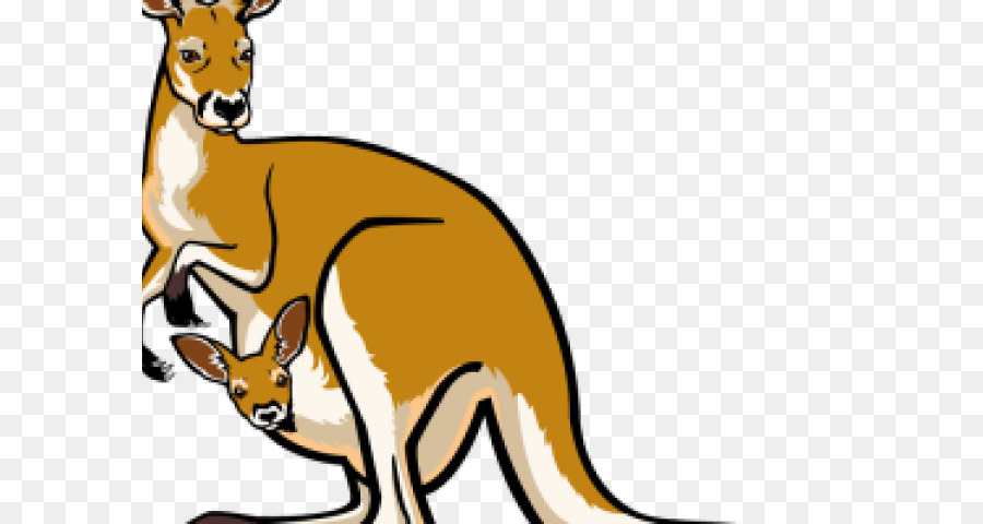Clip art Portable Network Graphics Kangaroo Transparency Free content - kids school portugal png kangaroo kids png download - 640*480 - Free Transparent Kangaroo png Download.