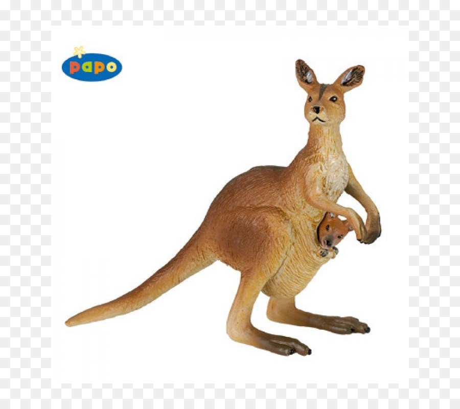 Kangaroo Papo Toy Macropods Figurine - kangaroo png download - 800*800 - Free Transparent Kangaroo png Download.