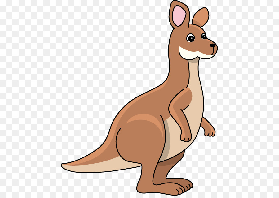 Kangaroo Clip art - Kangaroo Cliparts png download - 507*633 - Free Transparent Kangaroo png Download.