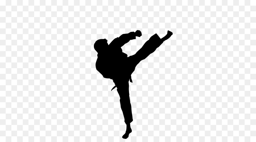 Karate Roundhouse kick Martial arts Taekwondo - Fight png download - 500*500 - Free Transparent Karate png Download.