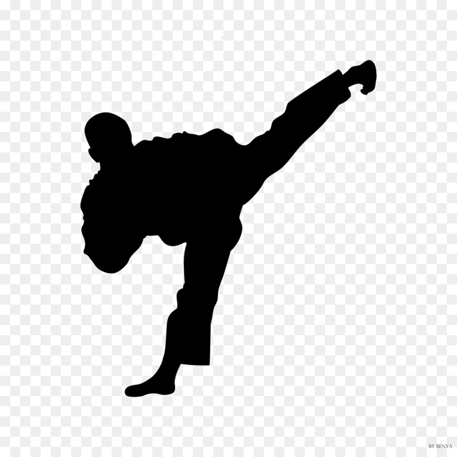 Moo Duk Kwan Taekwondo Moo Duk Kwan Taekwondo Martial arts Kick - karate png download - 1000*1000 - Free Transparent Taekwondo png Download.