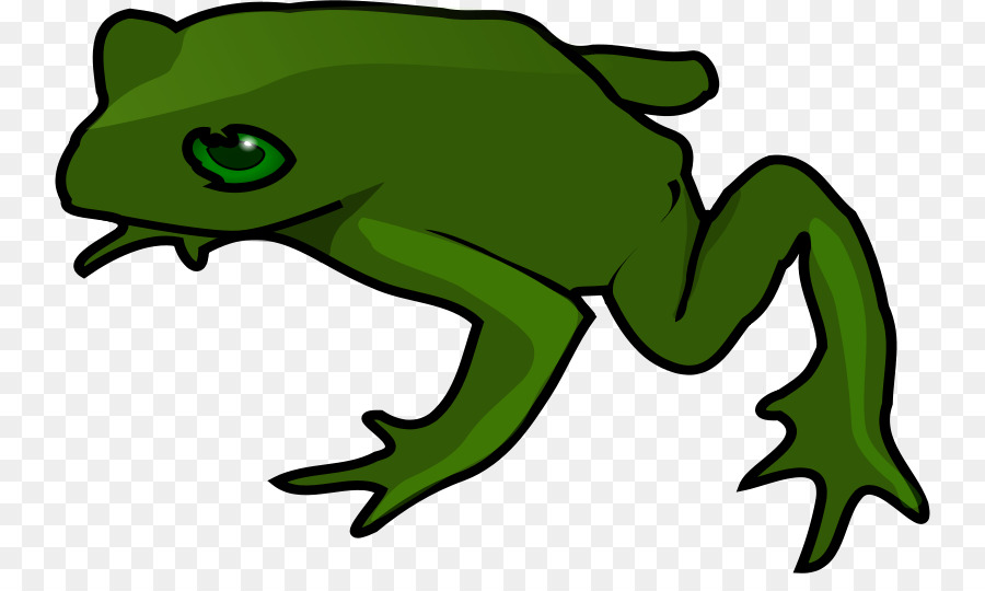Kermit the Frog Free content Clip art - Green frog png download - 800*524 - Free Transparent Kermit The Frog png Download.