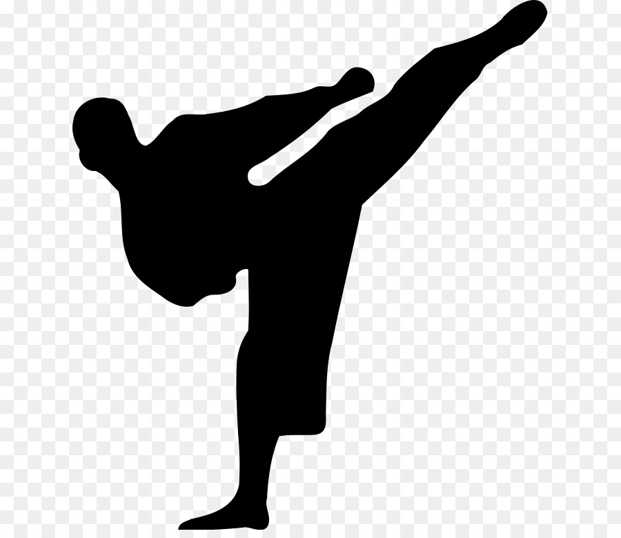 Silhouette Flying kick Taekwondo Martial arts - vip pass png download ...