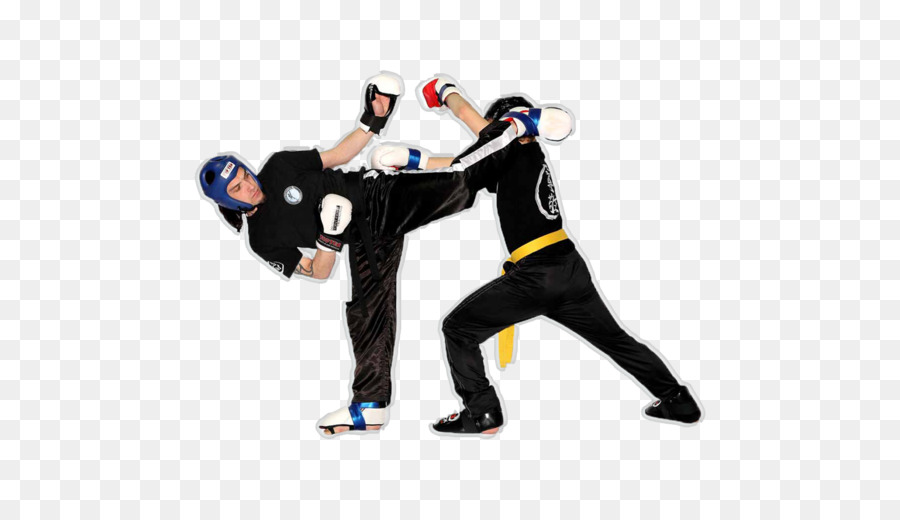 Kickboxing Martial arts Sport - Boxing png download - 512*512 - Free Transparent Kickboxing png Download.