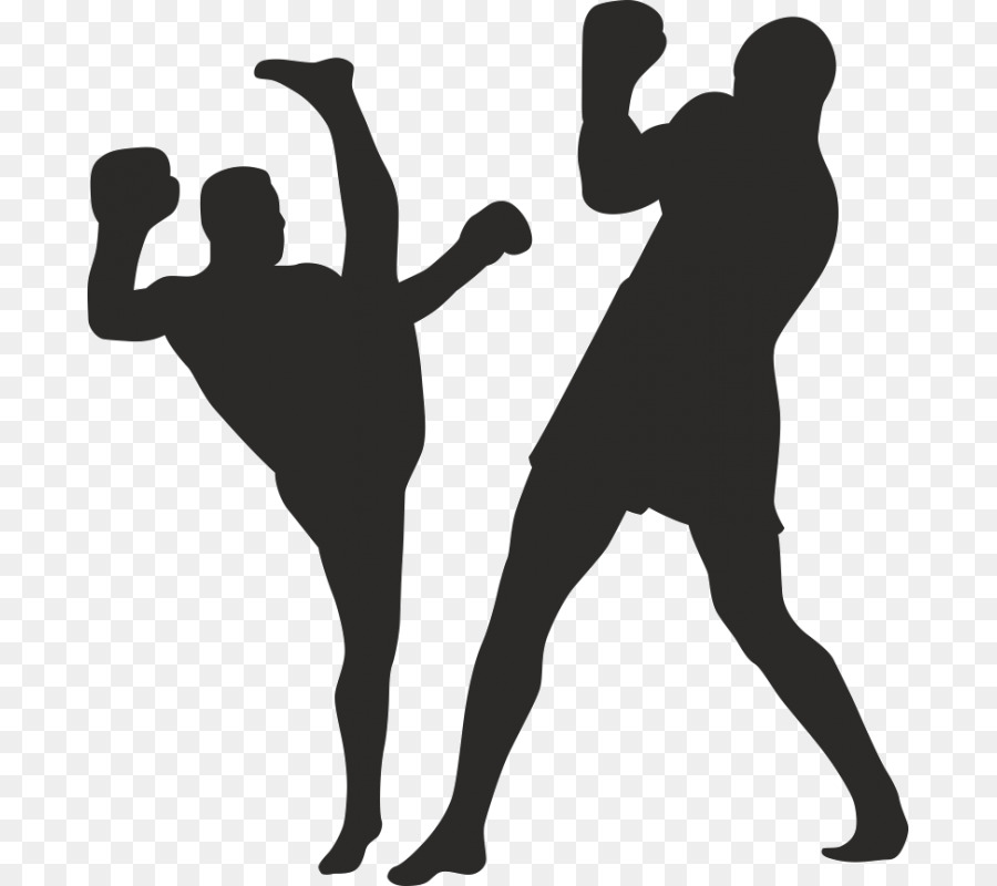 Kickboxing Silhouette - Boxing png download - 800*800 - Free Transparent Kickboxing png Download.